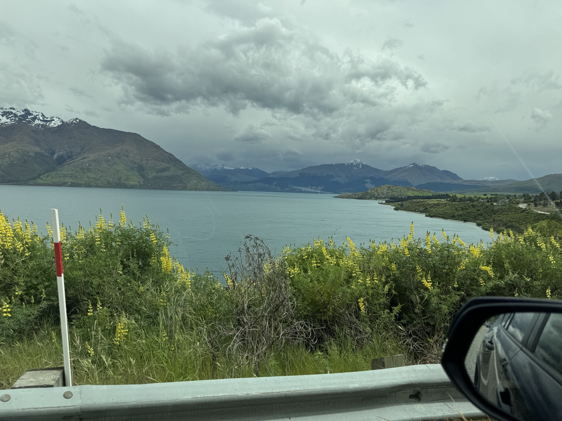 newzealand 202