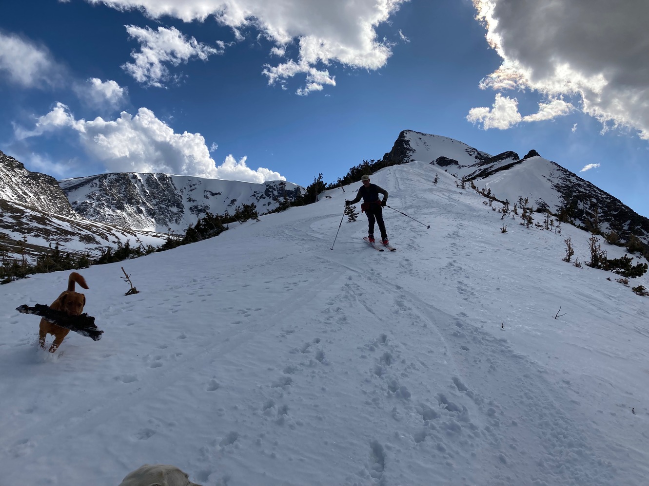 sawtooth 11