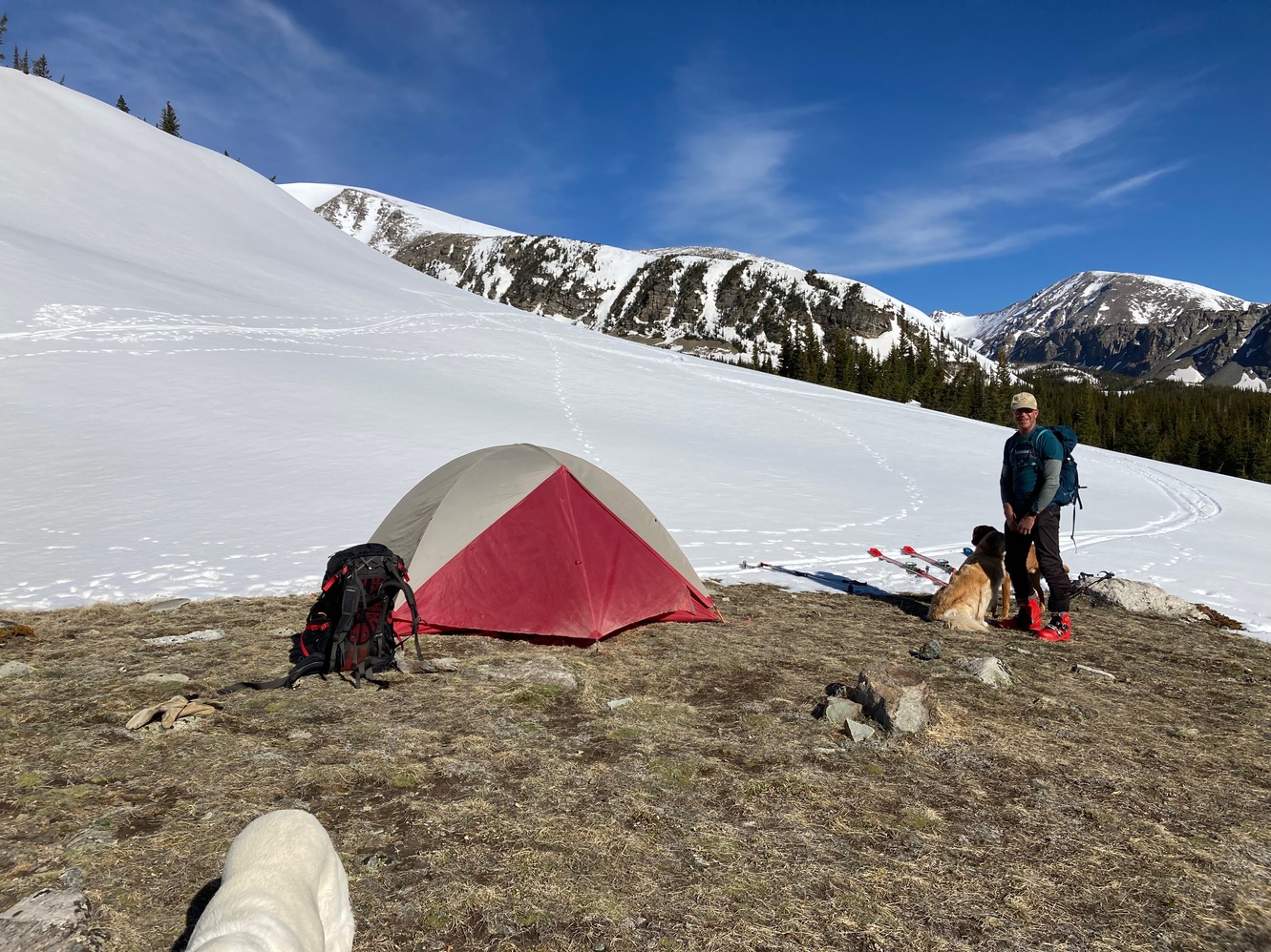 sawtooth 20