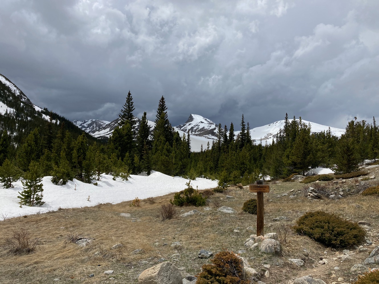 sawtooth 46