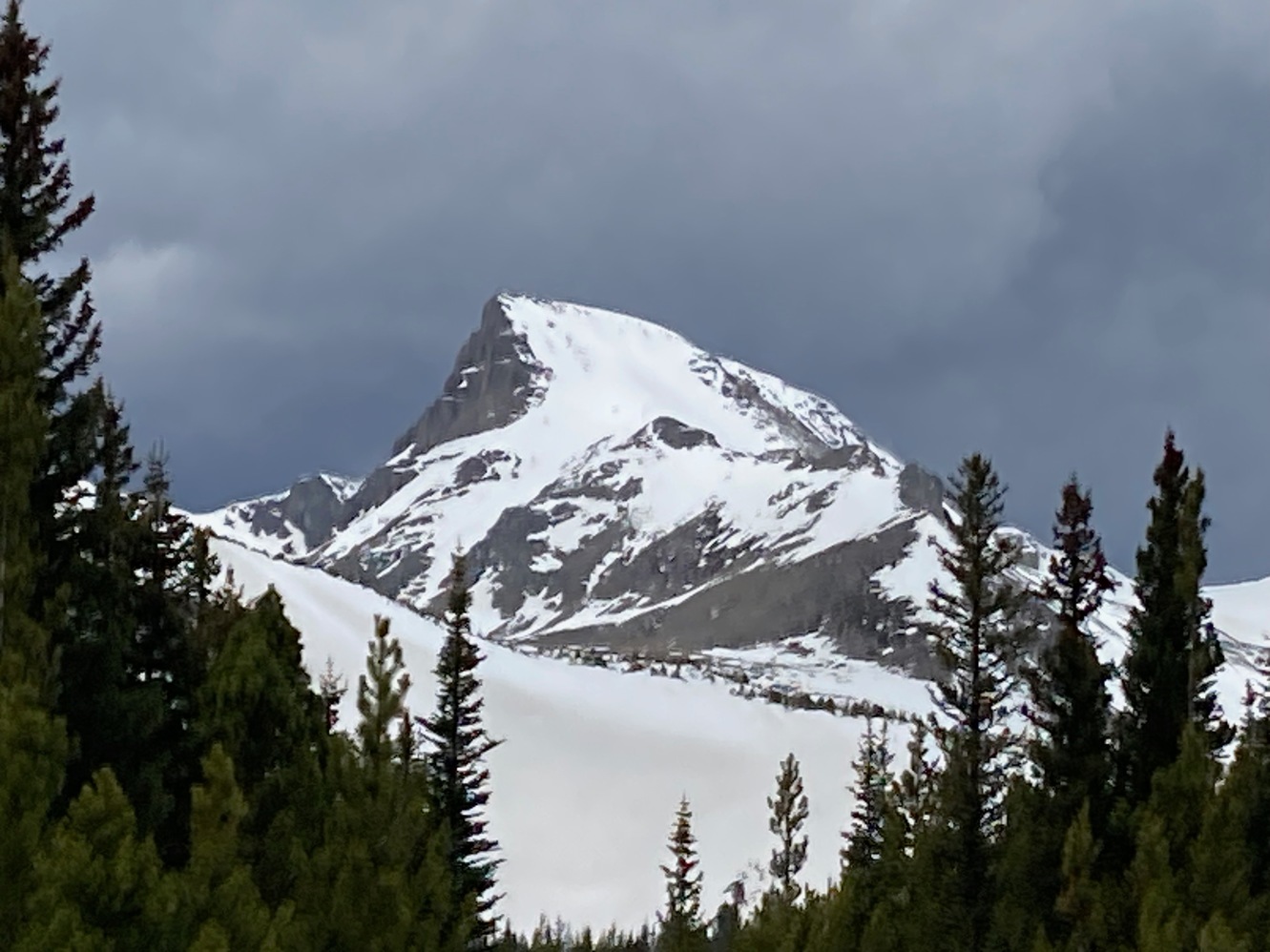 sawtooth 47