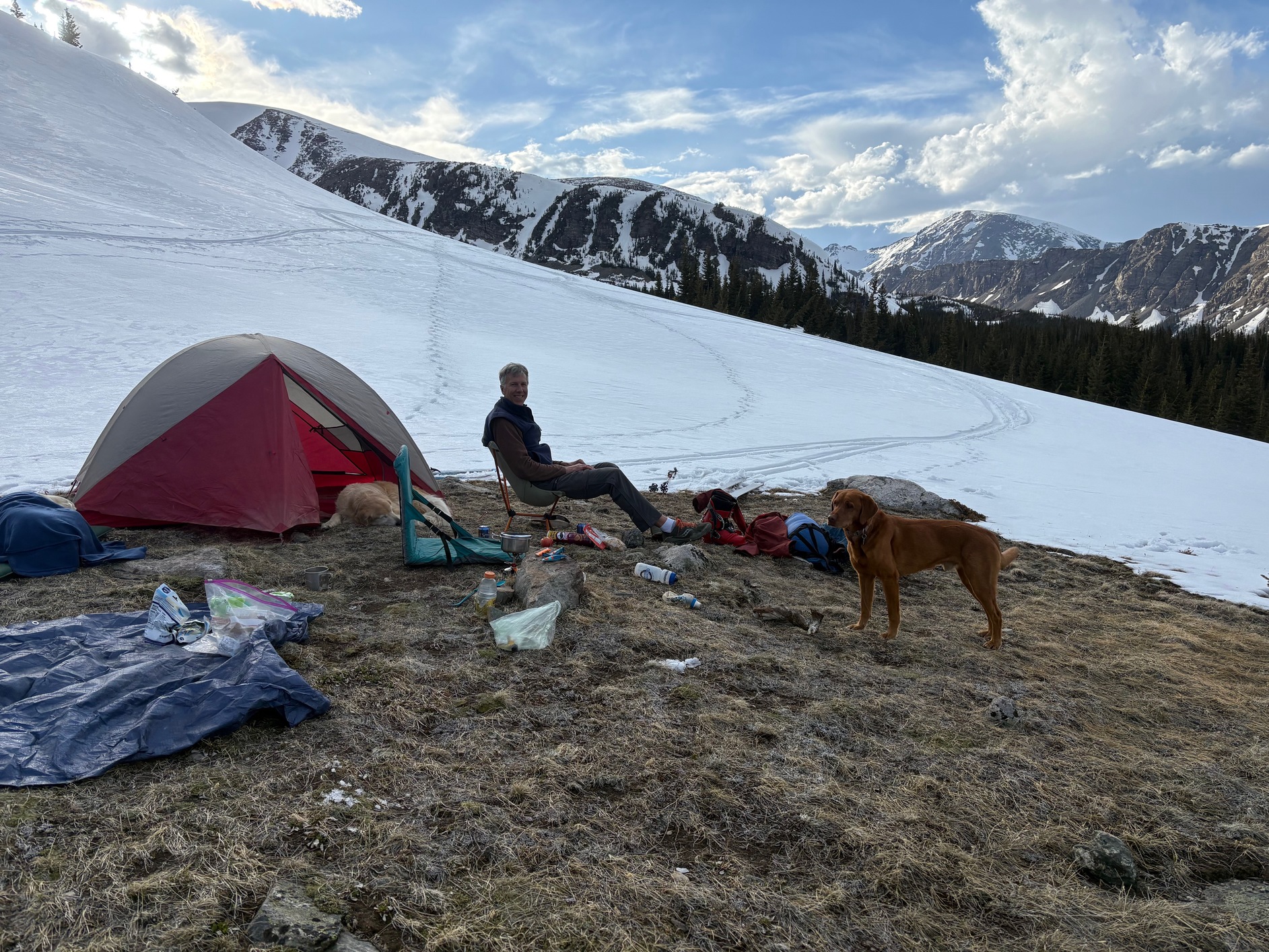 sawtooth 14