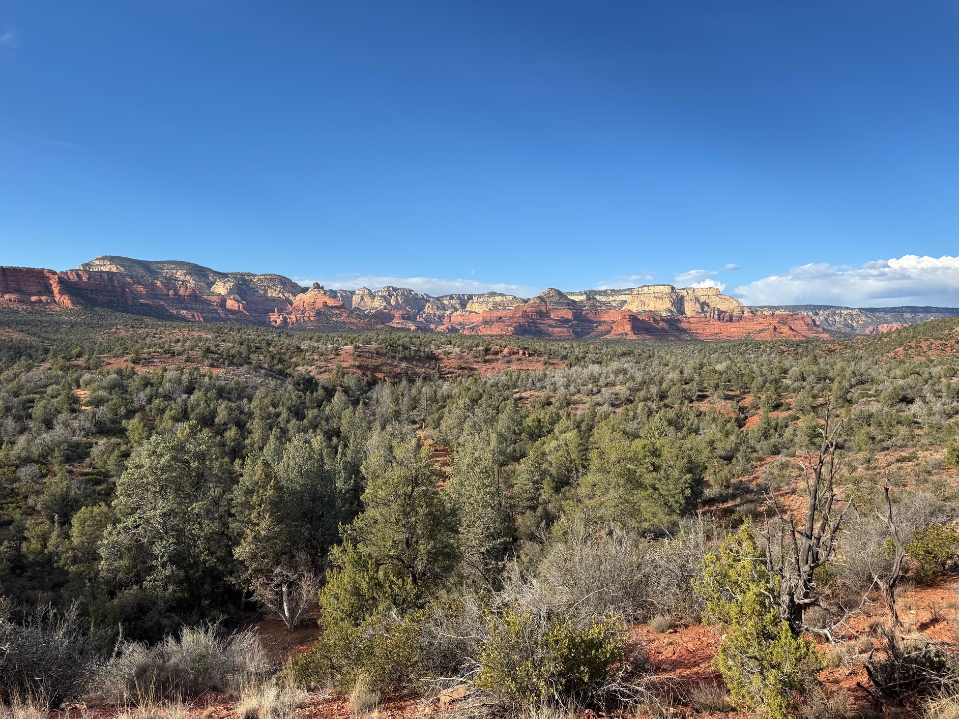 sedona 5