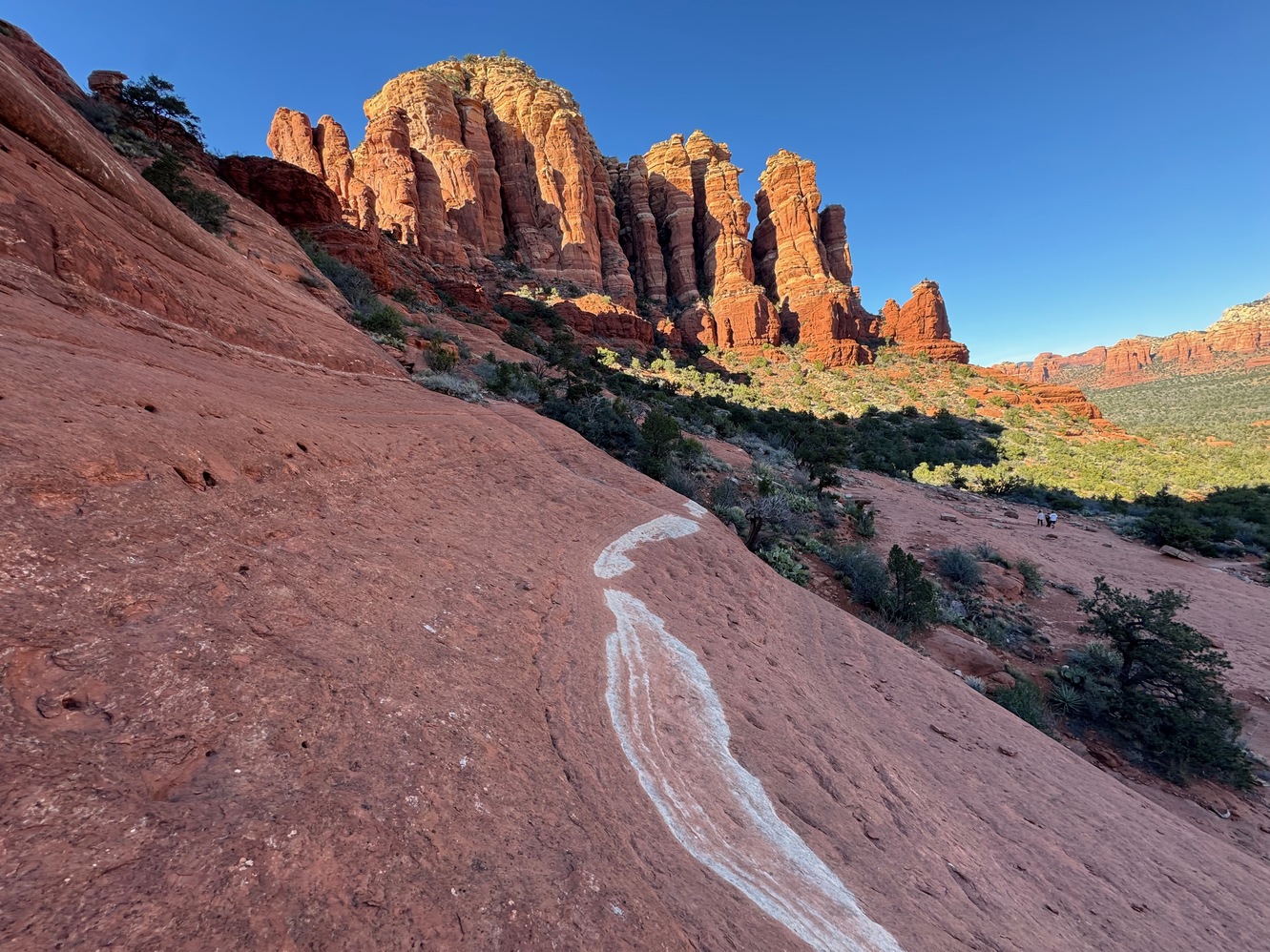 sedona 11