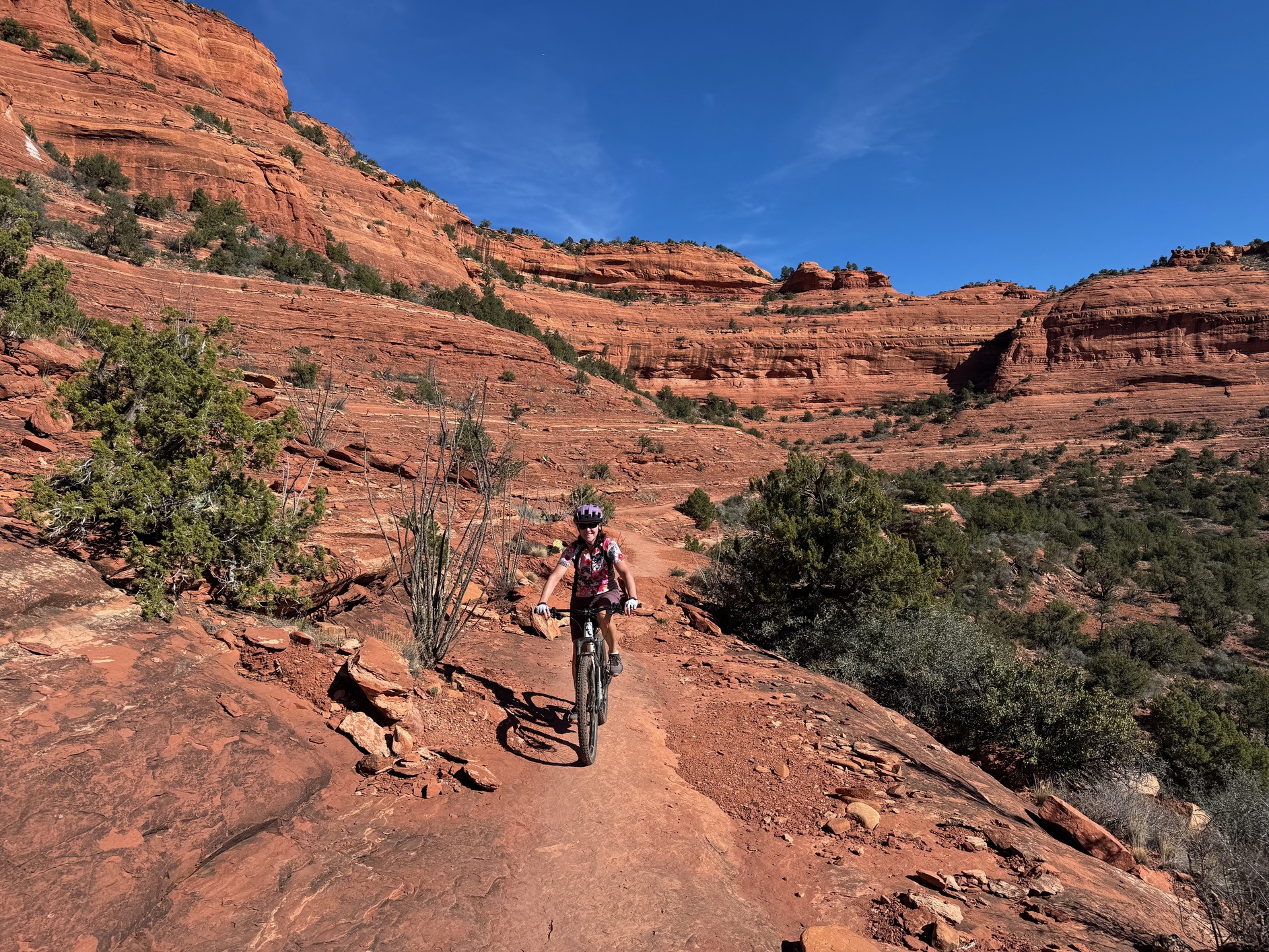 sedona 19
