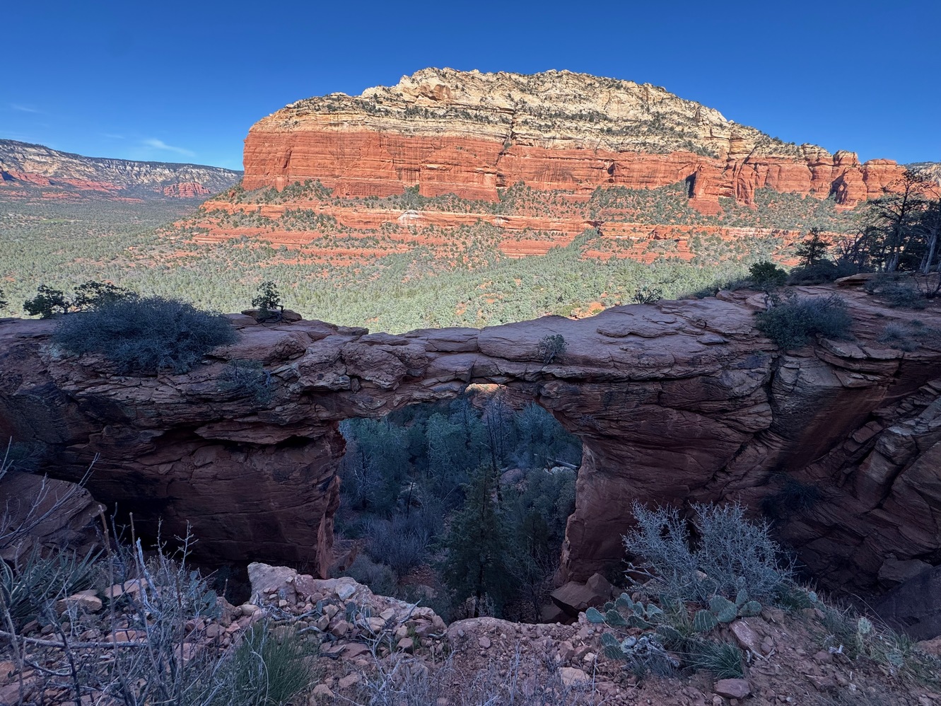 sedona 22