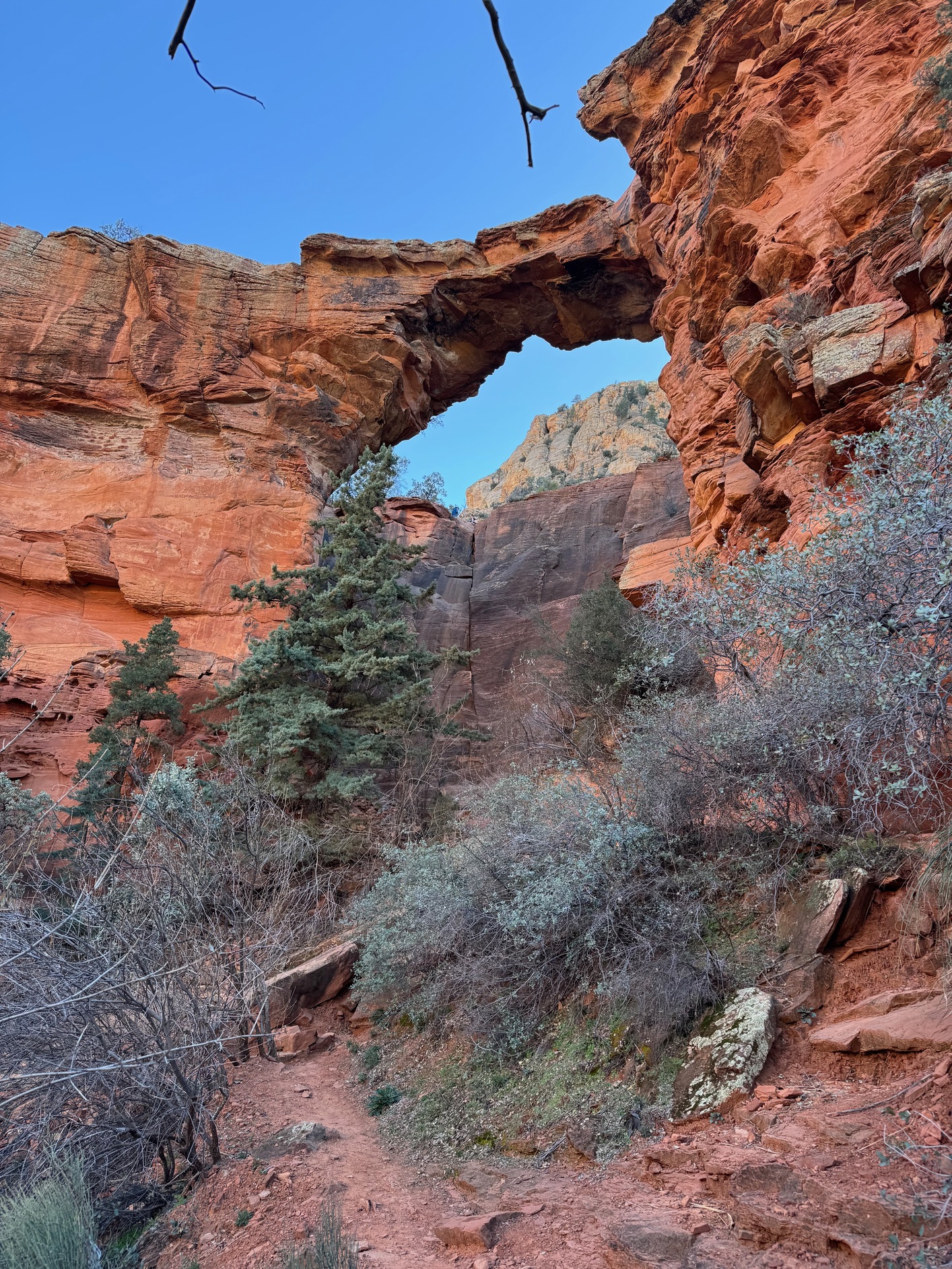 sedona 23