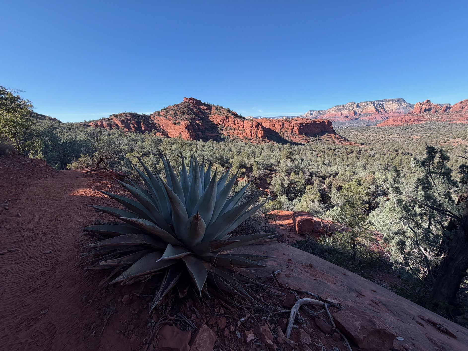 sedona 12