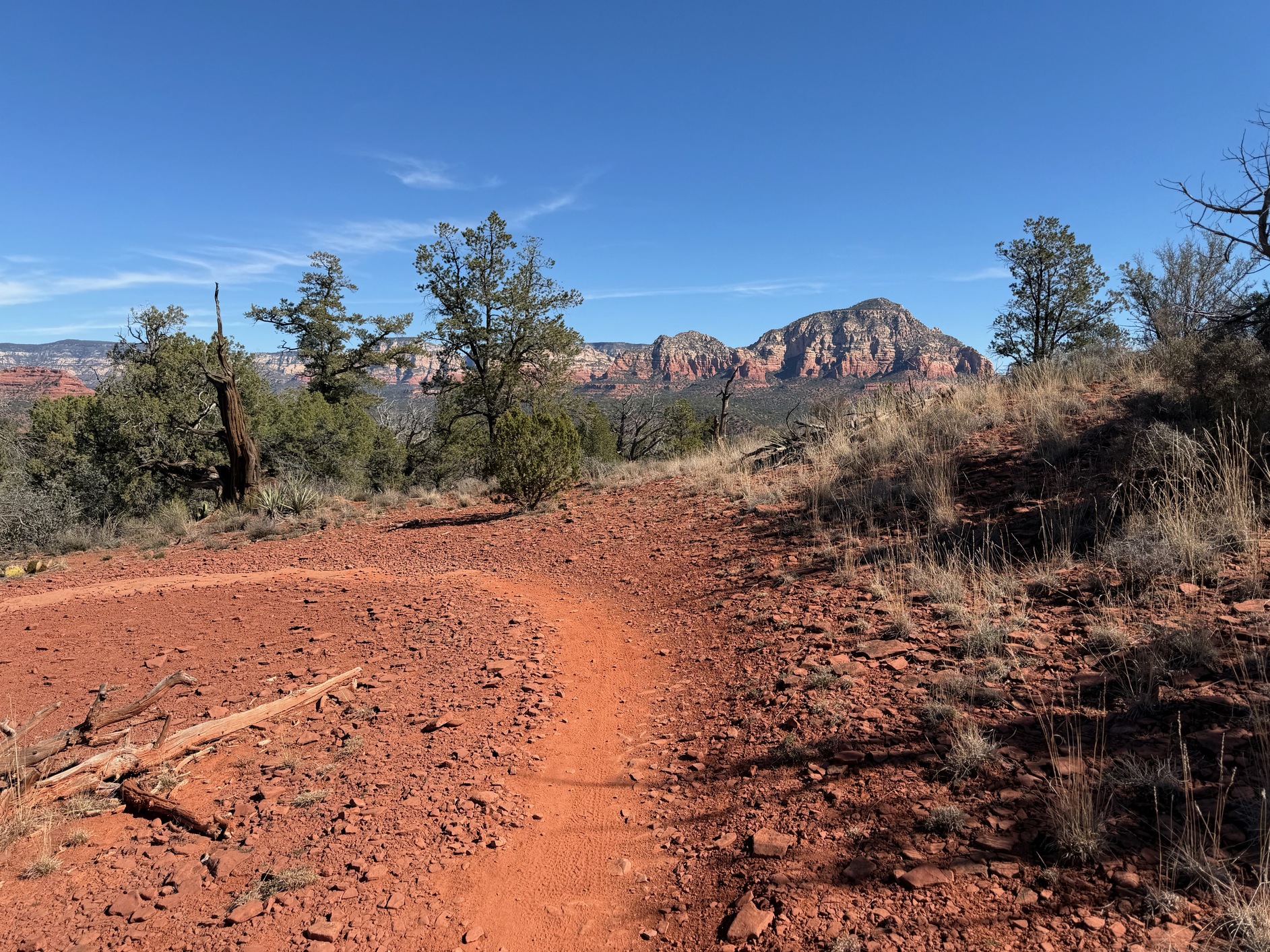 sedona 21